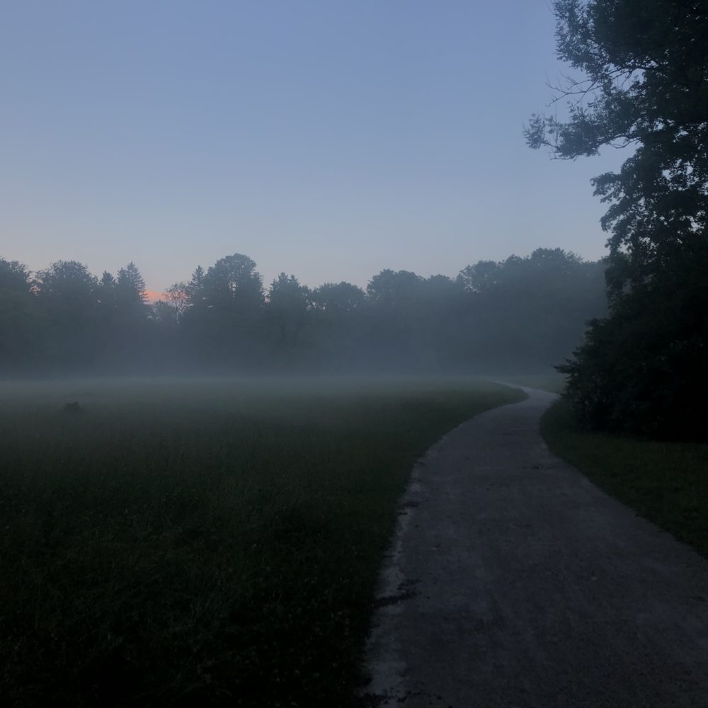 Nebeliger Abend im Englischen Garten 1