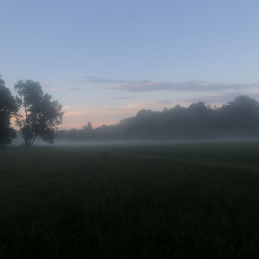 Nebeliger Abend im Englischen Garten 2
