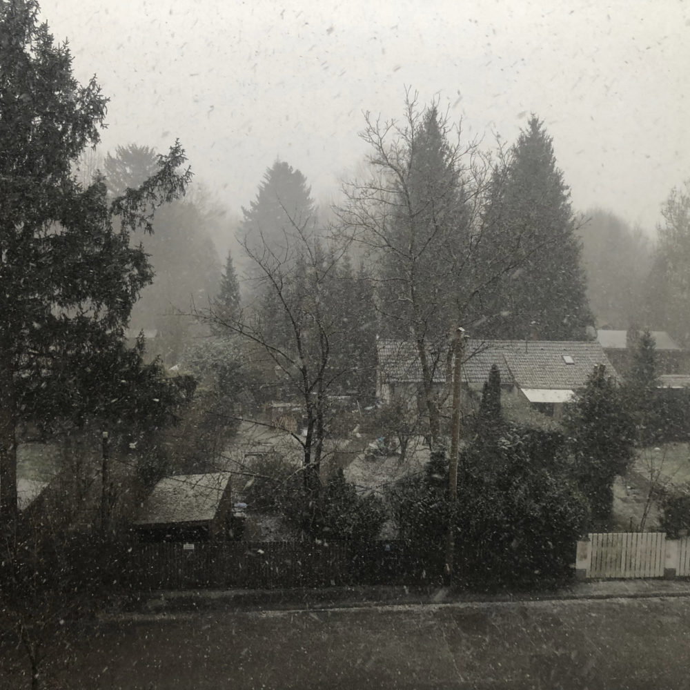 Winterblick auf den Englischen Garten